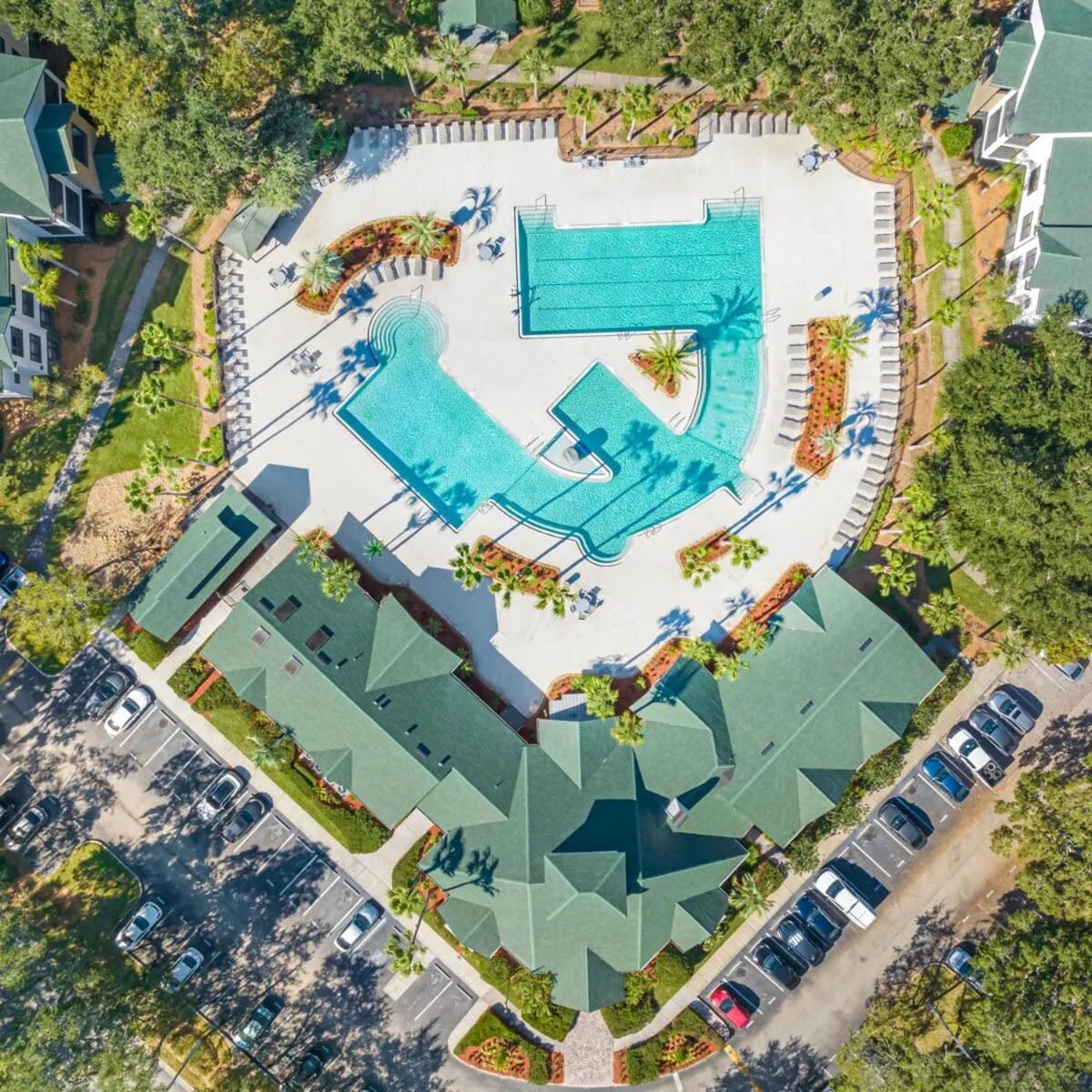 4Bd 2 Mi To Usf Free Pool + 24 Hour Gym Βίλα Τάμπα Εξωτερικό φωτογραφία