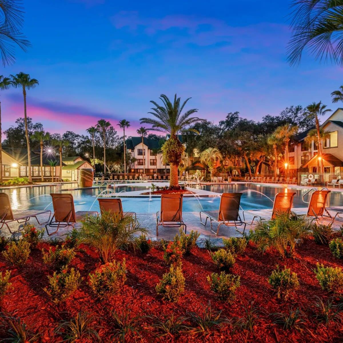 4Bd 2 Mi To Usf Free Pool + 24 Hour Gym Βίλα Τάμπα Εξωτερικό φωτογραφία