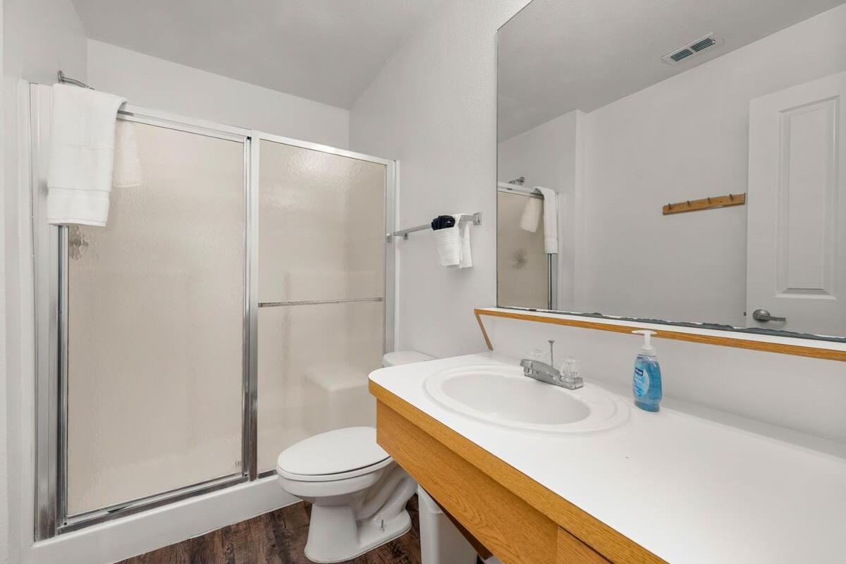 4Bd 2 Mi To Usf Free Pool + 24 Hour Gym Βίλα Τάμπα Εξωτερικό φωτογραφία