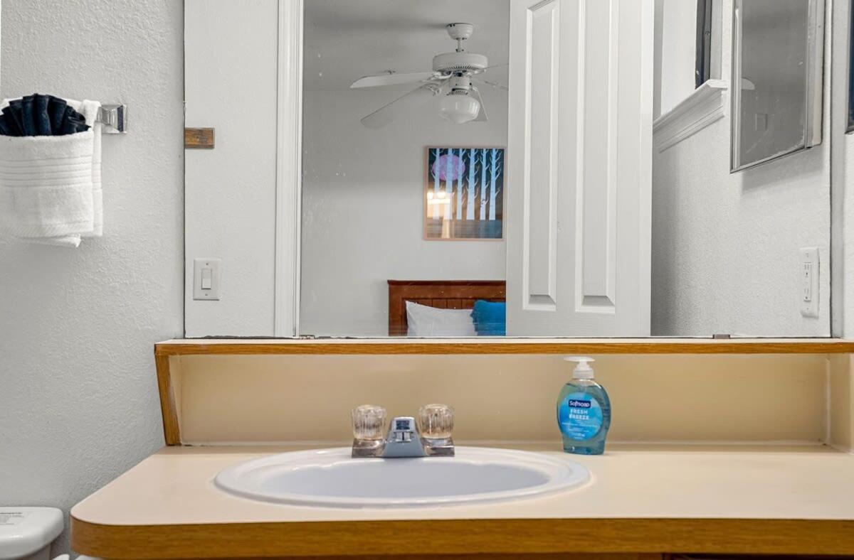 4Bd 2 Mi To Usf Free Pool + 24 Hour Gym Βίλα Τάμπα Εξωτερικό φωτογραφία