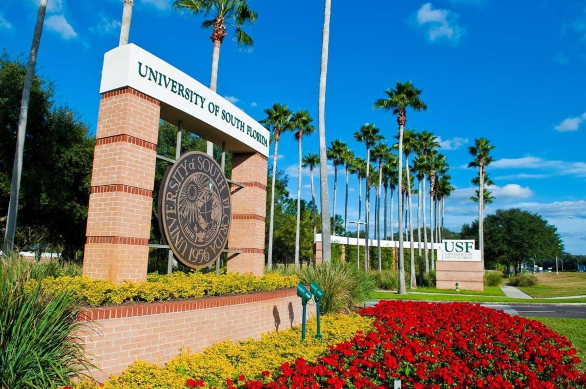 4Bd 2 Mi To Usf Free Pool + 24 Hour Gym Βίλα Τάμπα Εξωτερικό φωτογραφία