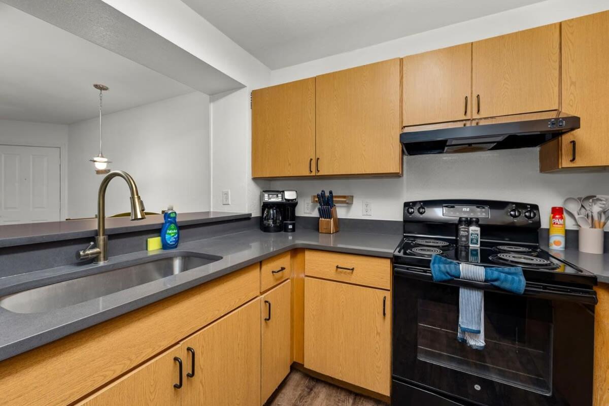 4Bd 2 Mi To Usf Free Pool + 24 Hour Gym Βίλα Τάμπα Εξωτερικό φωτογραφία