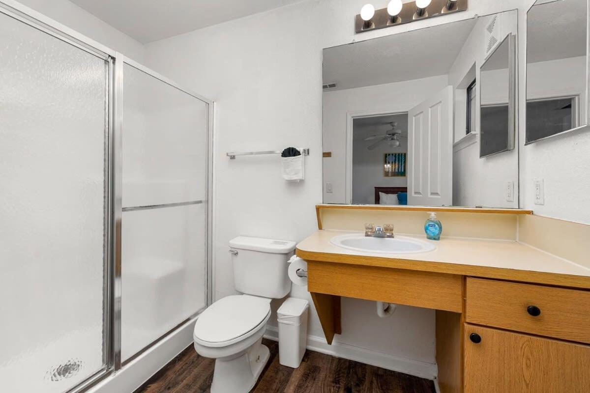 4Bd 2 Mi To Usf Free Pool + 24 Hour Gym Βίλα Τάμπα Εξωτερικό φωτογραφία
