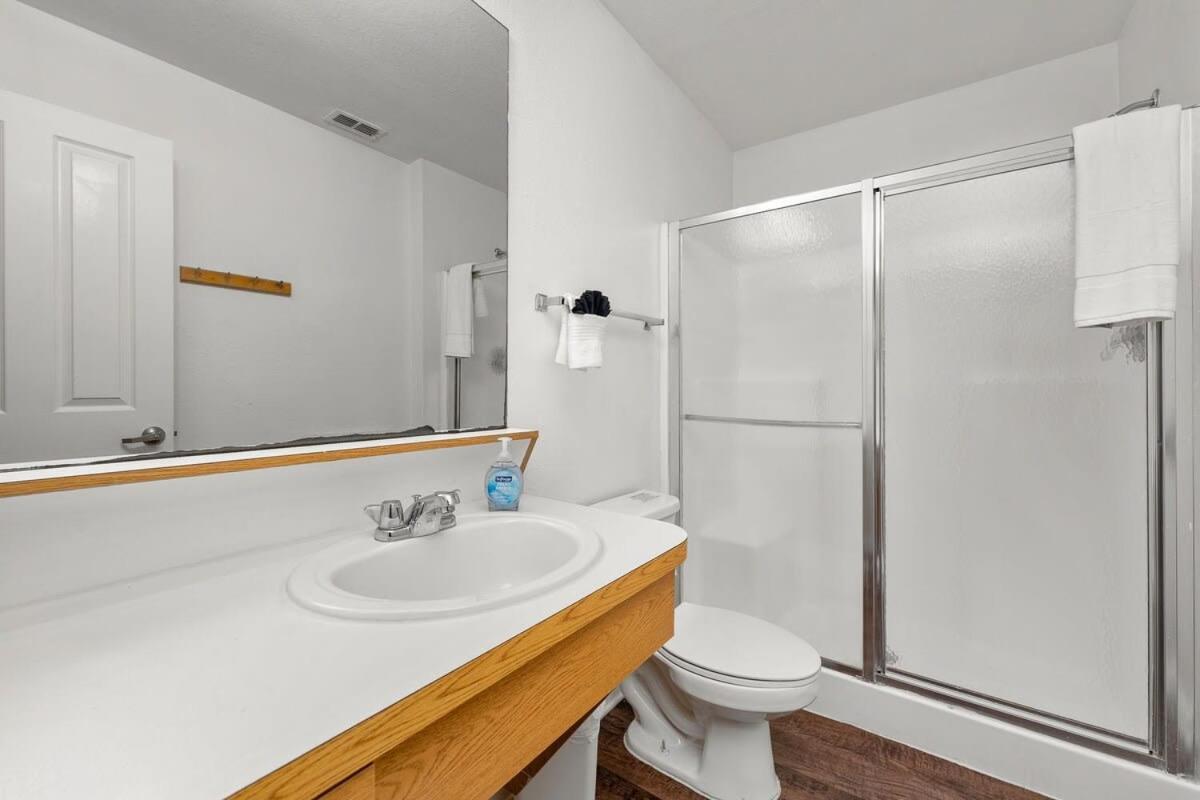 4Bd 2 Mi To Usf Free Pool + 24 Hour Gym Βίλα Τάμπα Εξωτερικό φωτογραφία