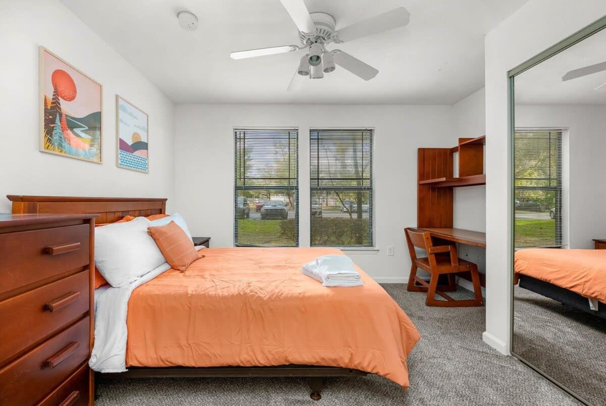 4Bd 2 Mi To Usf Free Pool + 24 Hour Gym Βίλα Τάμπα Εξωτερικό φωτογραφία
