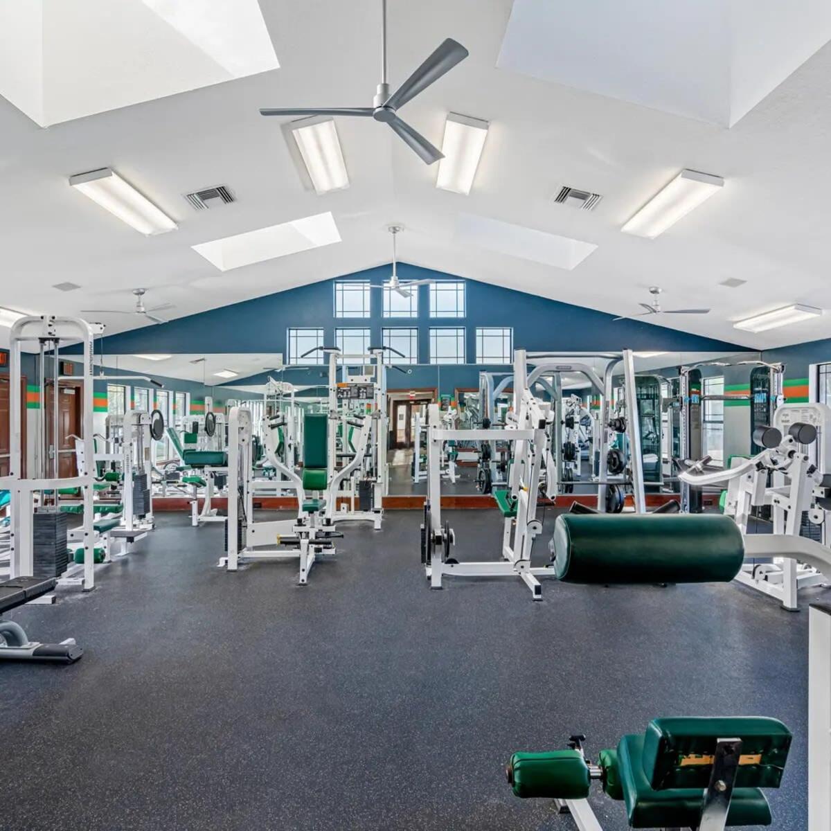4Bd 2 Mi To Usf Free Pool + 24 Hour Gym Βίλα Τάμπα Εξωτερικό φωτογραφία