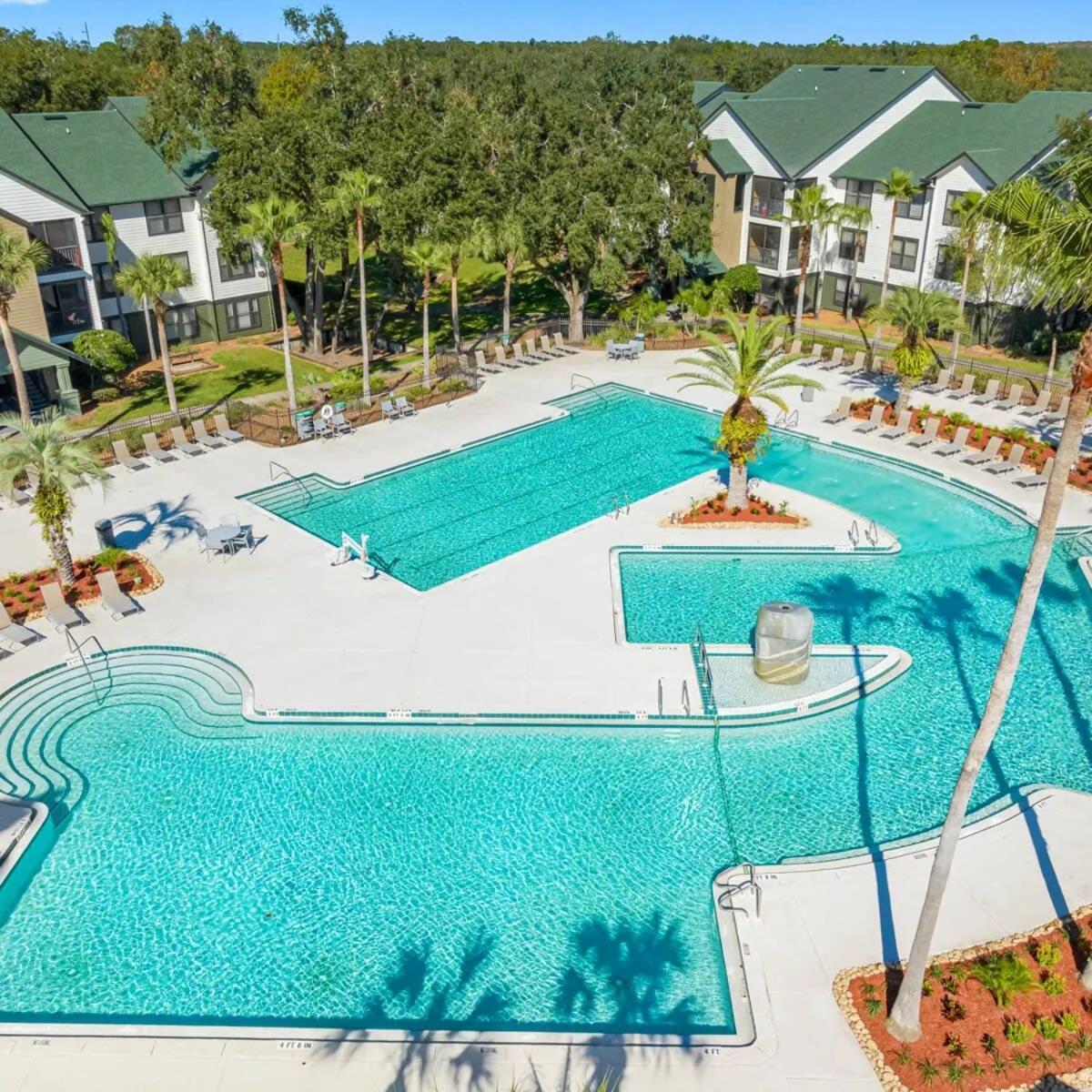 4Bd 2 Mi To Usf Free Pool + 24 Hour Gym Βίλα Τάμπα Εξωτερικό φωτογραφία